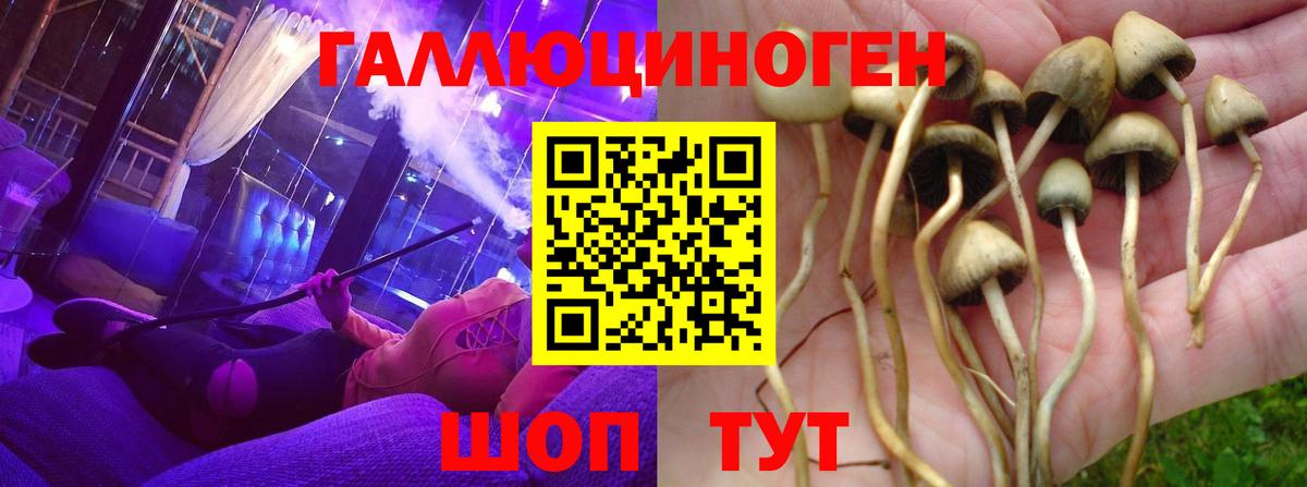 Астрахань  Галлюциногенные грибы мицелий  Вход с VPN 